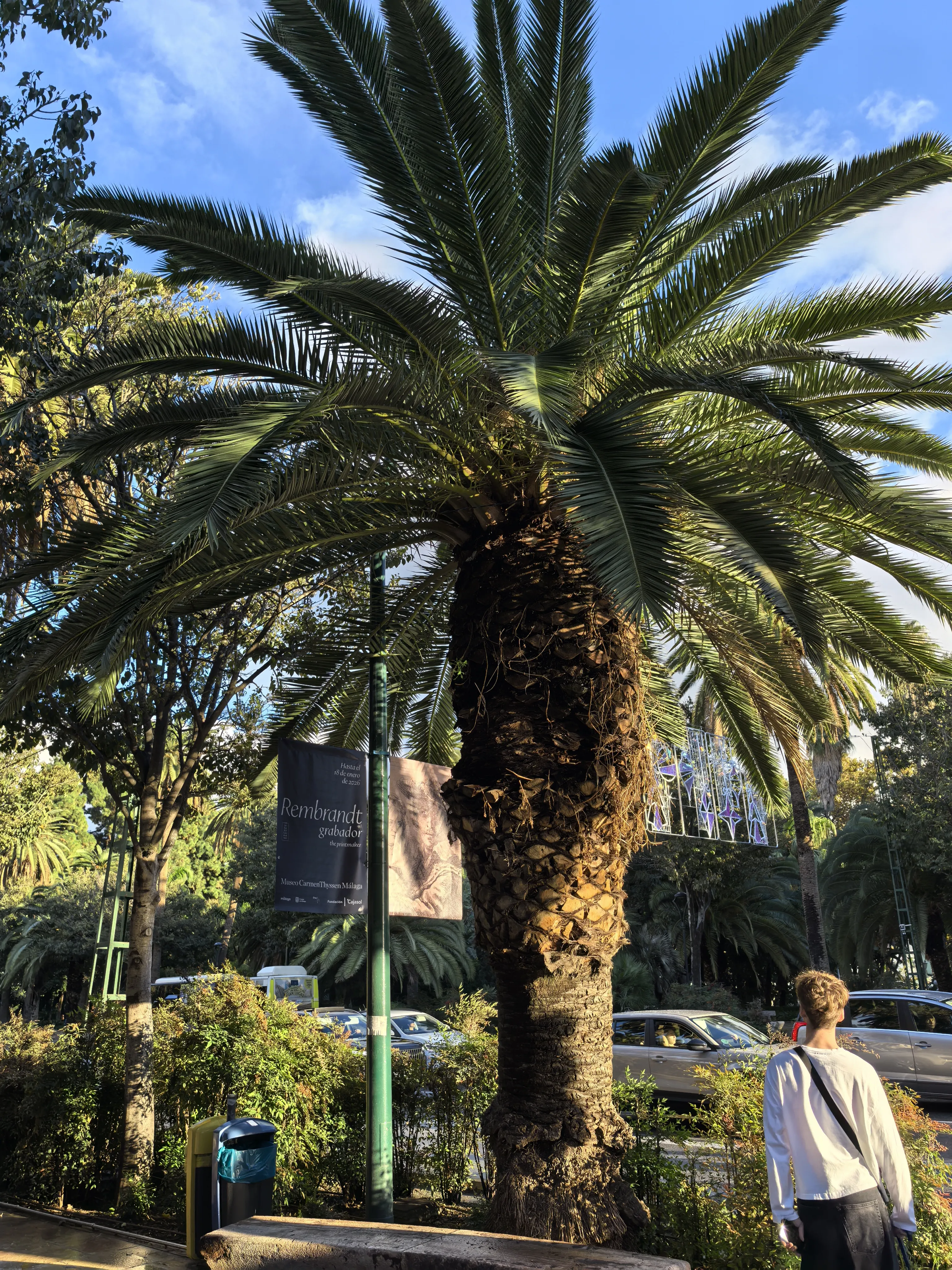 HUAWEI Pura 70 Ultra - System Aparatów - IMG_20251117_170623.webp